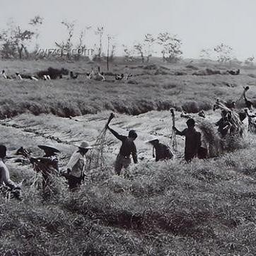 香港市民登山東艦體驗槍械案例研究