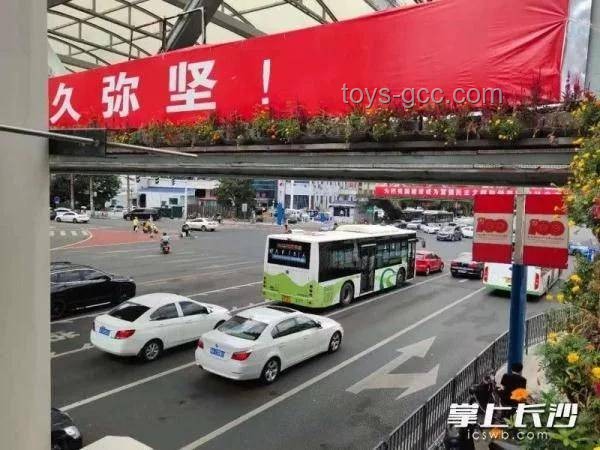 車輛“避曬式”等紅燈：交警嚴(yán)正聲明其違法性