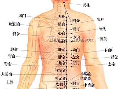 脊柱最喜歡的4個動作，有效緩解腰背疼痛