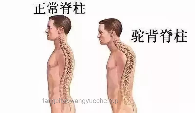 脊柱守護者：我最愛的4個舒緩動作???♀?，告別久坐僵硬