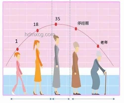 脊柱最喜歡的4個動作：專業(yè)解析與健康指南