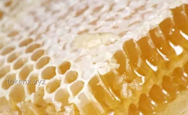 廚房現(xiàn)蜂巢，如何安全處理并收獲20斤蜂蜜