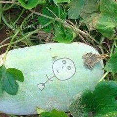 《葫蘆兄妹》動(dòng)畫創(chuàng)新演繹，跨界融合動(dòng)畫新紀(jì)元！