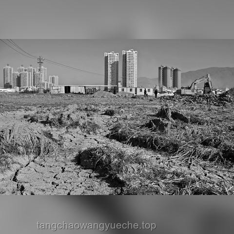 “大人，時代變了!”：解讀社會變遷與行業(yè)轉(zhuǎn)型的深度剖析