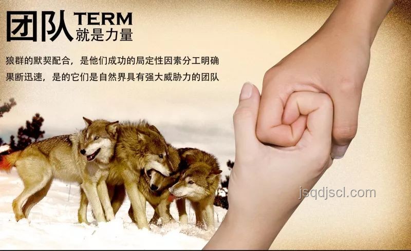 《狼群中出了一個叛徒》：識別與應(yīng)對團隊背叛實用指南