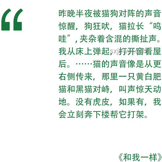 你可能不認識我，但你一定見過我公公做的手工品指南