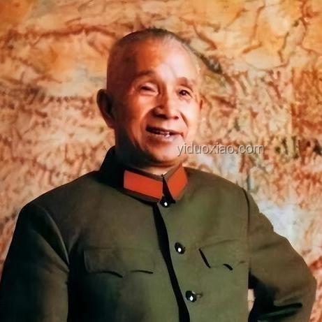 盲從與獨(dú)立思考：社會(huì)現(xiàn)象對(duì)比分析