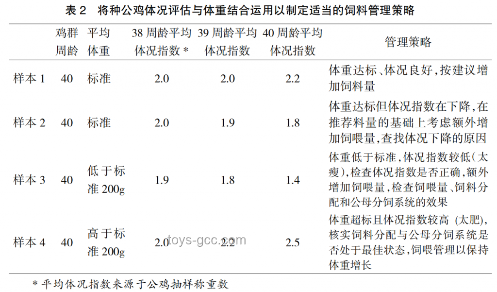 男性硬度和時間不夠，專業(yè)分析與改善策略