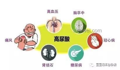 心衰趨勢(shì)下的飲食新智慧：涼水VS三禁物，跨界健康守護(hù)