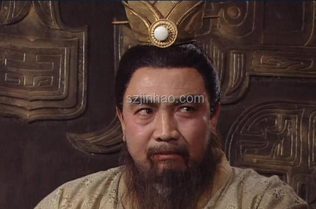 劉備多子，為何傳位于劉禪？