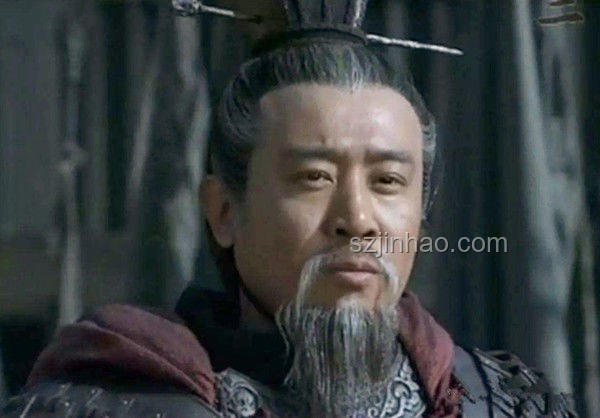 劉備多子，為何傳位于劉禪？