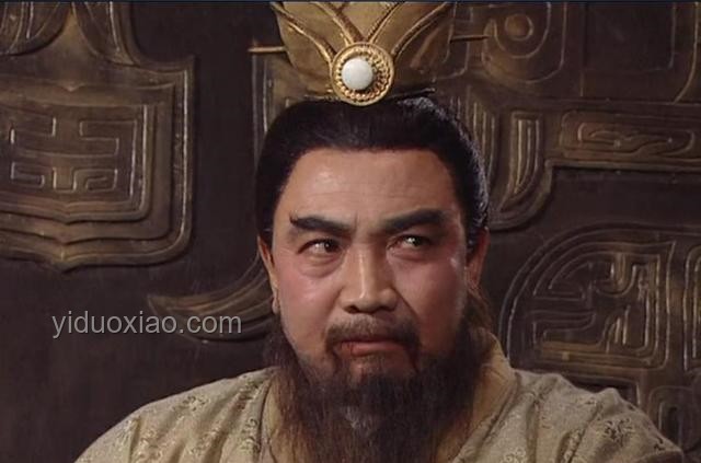 劉備多子，為何傳位于劉禪？