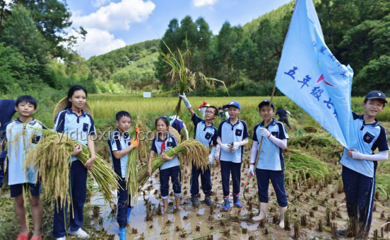 鄉(xiāng)村小學(xué)：鄉(xiāng)村振興之魂，灌溉種子，點燃夢想