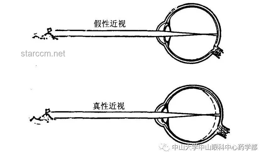 原來被鏡子騙了這么多年！鏡子, 光學(xué)原理, 視覺錯覺, 真實形象, 平面鏡