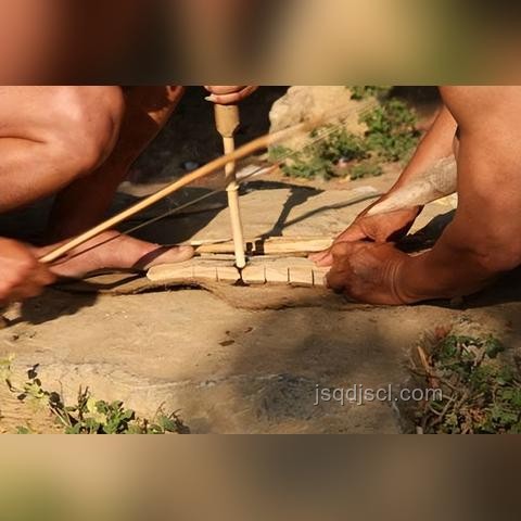 植物大戰(zhàn)僵尸融合版：理智與狂歡的周年慶趨勢預(yù)測