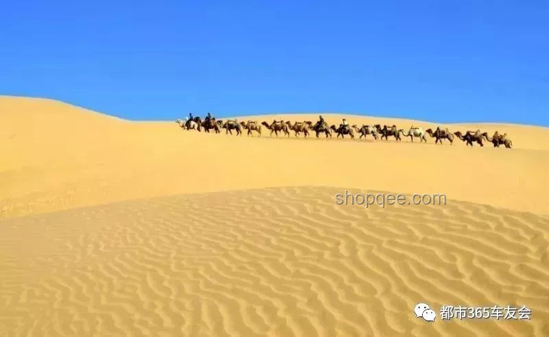 穿越沙漠：青春旅行團(tuán)11見證罕見美景的深度解析