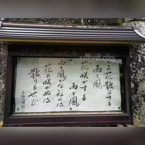 吃剩飯的智慧：獨(dú)特選擇背后的千萬種可能