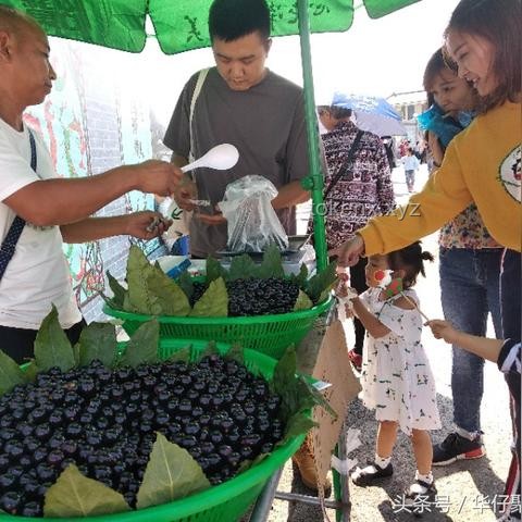 《莫愁鄉(xiāng)》英文版：跨文化撩動的文學魅力與策略分析