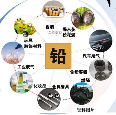 鉛中毒與認(rèn)知愚昧：本質(zhì)與責(zé)任對比分析
