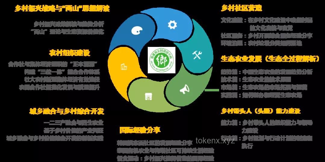 項目推動方式選擇：自上而下還是自下而上？