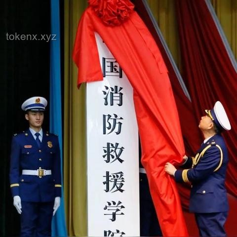 985高校普通專(zhuān)業(yè)與211高校王牌專(zhuān)業(yè)對(duì)比分析