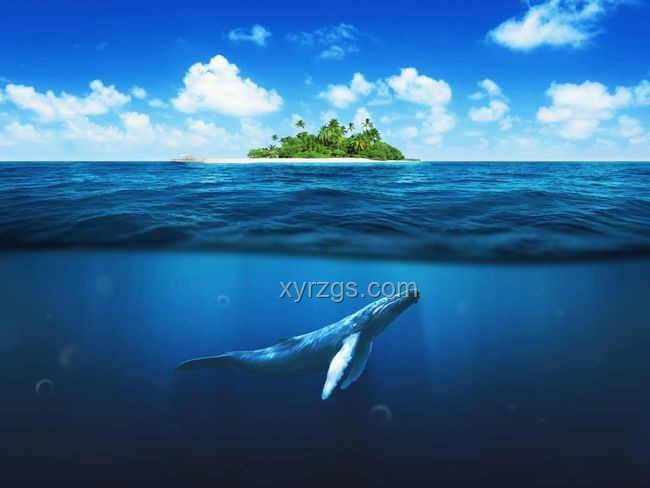 《鯨落全貌展望》：一鯨落，萬(wàn)物生，深海生態(tài)新紀(jì)元