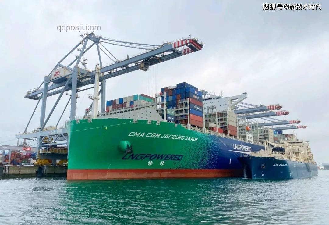 與世界斷聯(lián)的7小時，帶貓坐輪渡回家的解決方案