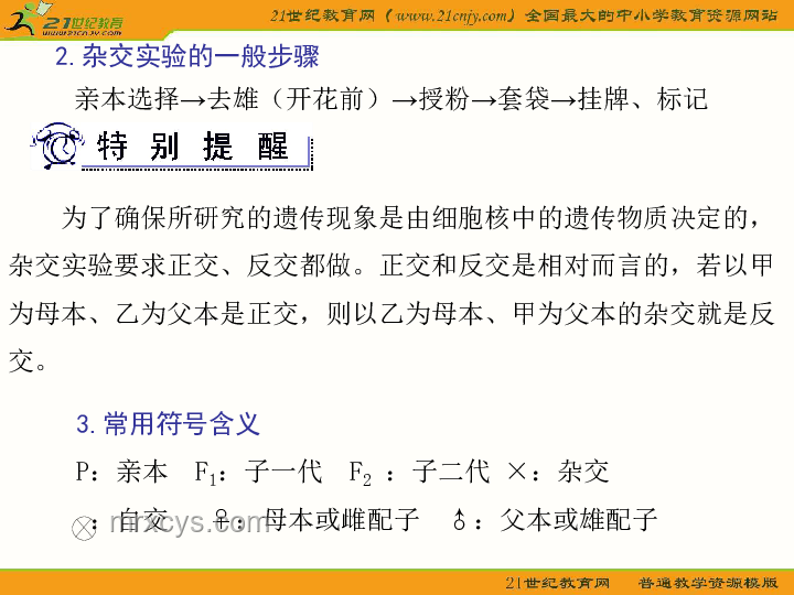 教育科技革新：這卷子你就交吧，包的硬控老師十分鐘，智能化測評崛起