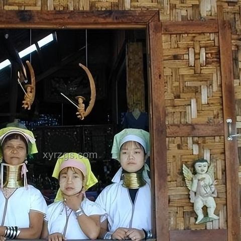 電詐回流人員被強迫賣淫案例研究